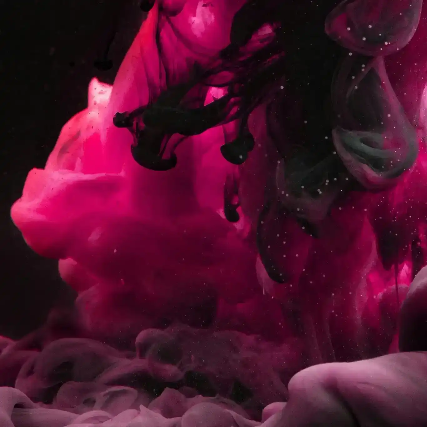 Portrait of Cindi Garner, a professional stylist at Glaze Hair Studio, showcasing their expertise and style.